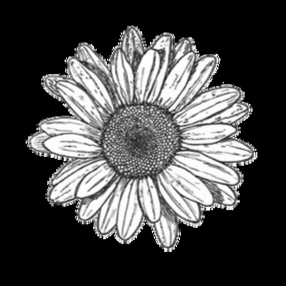 Meet your Posher, Rain - Picture 1 of 1